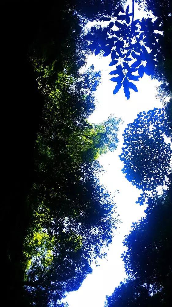 外星球体进黑洞
